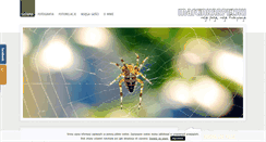 Desktop Screenshot of marcinkarpinski.pl