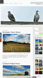 Mobile Screenshot of marcinkarpinski.pl